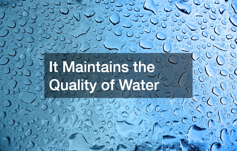 It Maintains the Quality of Water