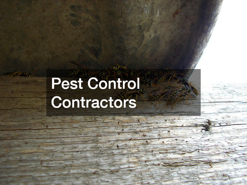 Pest Control Contractors