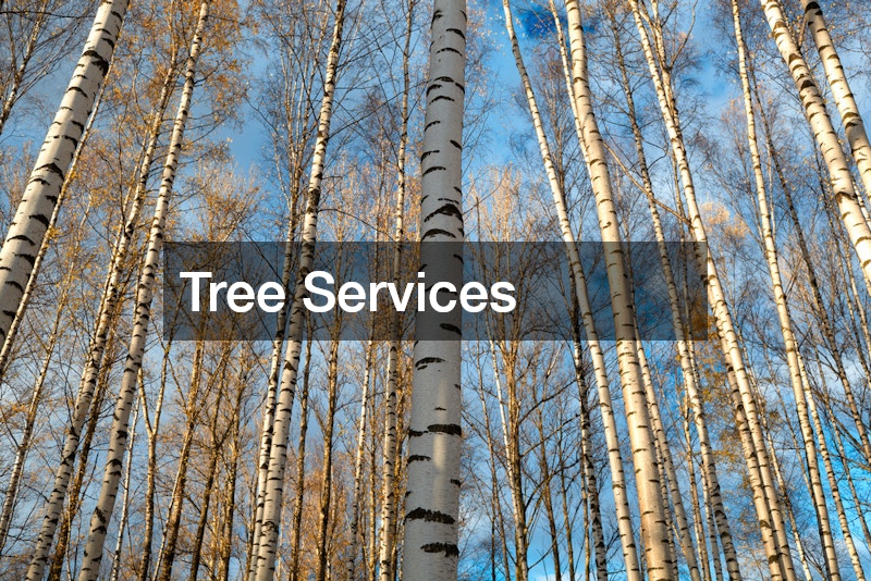 Tree Services