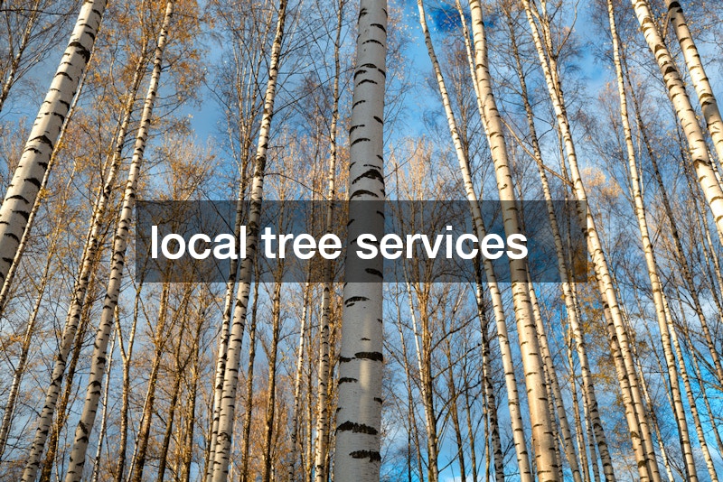 local tree services