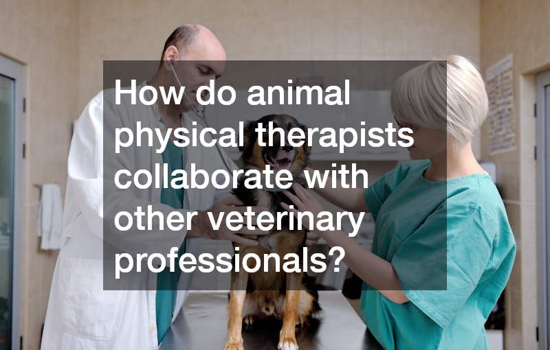 How do animal physical therapists collaborate with other veterinary professionals?