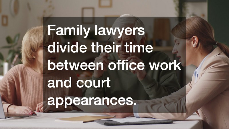 Family lawyers divide their time between office work and court appearances.
