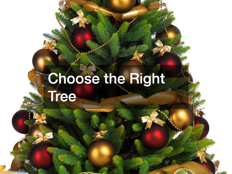 Choose the Right Tree