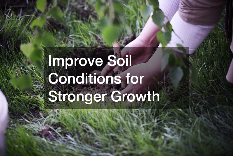 Improve Soil Conditions for Stronger Growth
