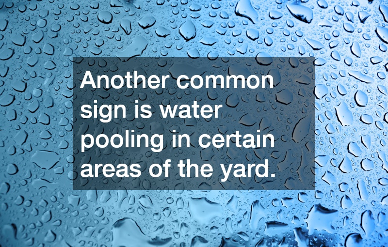 Another common sign is water pooling in certain areas of the yard.