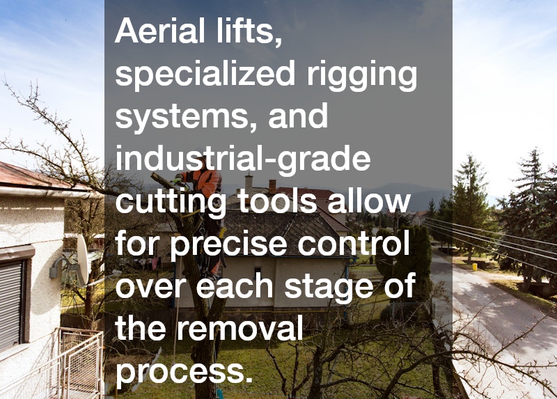 Aerial lifts, specialized rigging systems, and industrial-grade cutting tools allow for precise control over each stage of the removal process.