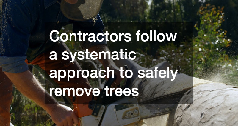 Contractors follow a systematic approach to safely remove trees