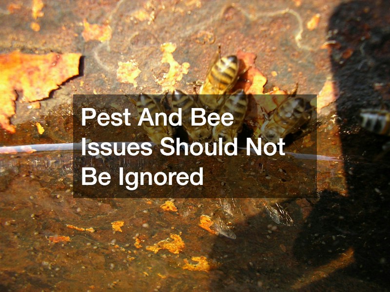 Pest And Bee Issues Should Not Be Ignored