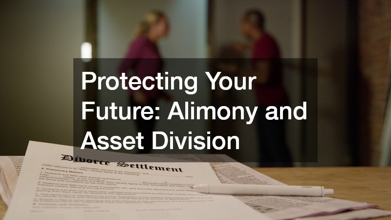Protecting Your Future: Alimony and Asset Division