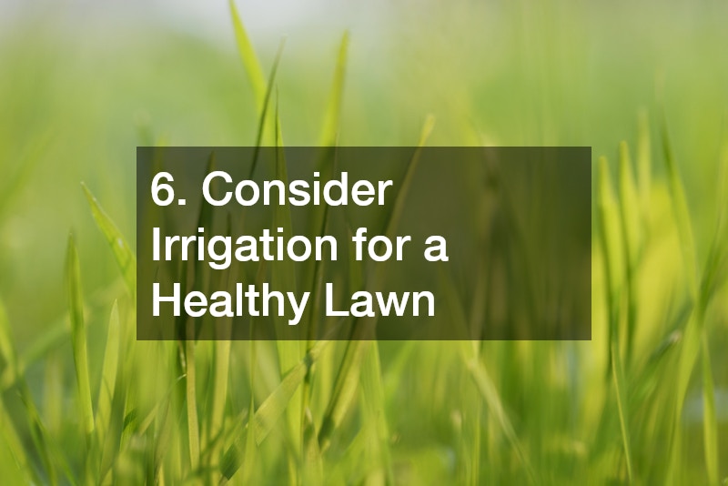 6. Consider Irrigation for a Healthy Lawn