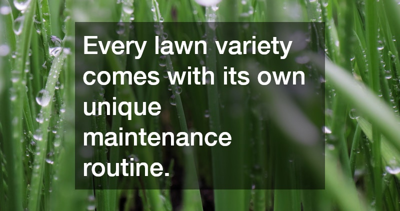 Every lawn variety comes with its own unique maintenance routine.