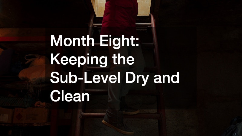 Month Eight: Keeping the Sub-Level Dry and Clean