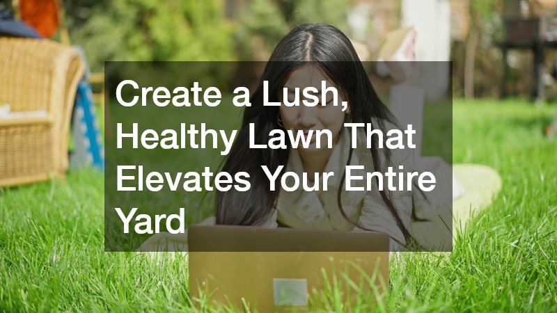 Create a Lush, Healthy Lawn That Elevates Your Entire Yard