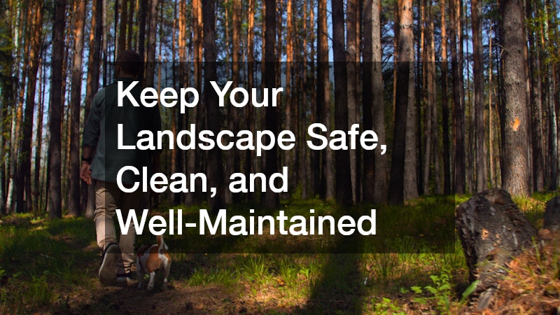 Keep Your Landscape Safe, Clean, and Well-Maintained