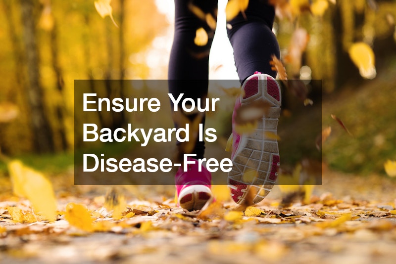 Ensure Your Backyard Is Disease-Free