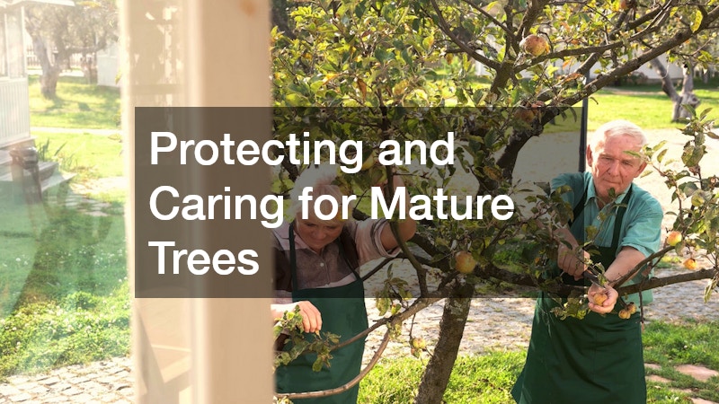 Protecting and Caring for Mature Trees
