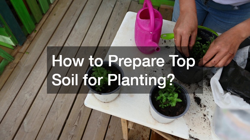 How to Prepare Top Soil for Planting?