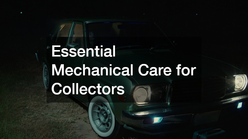 Essential Mechanical Care for Collectors