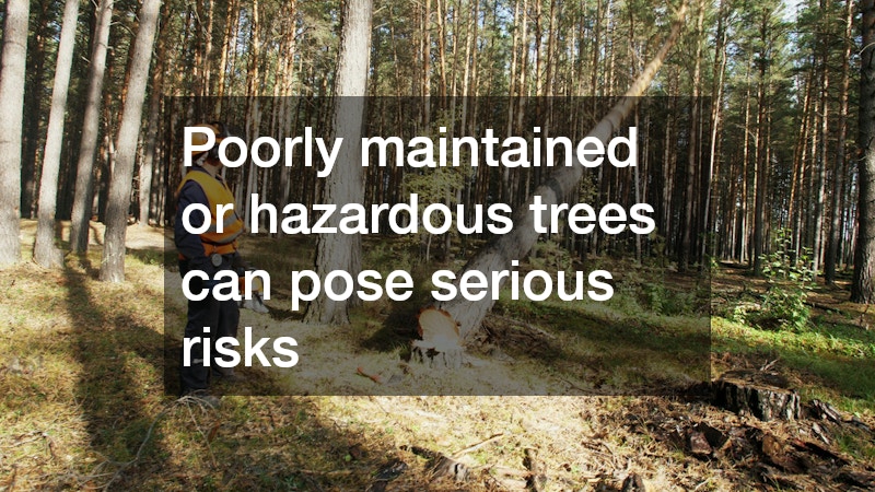 Poorly maintained or hazardous trees can pose serious risks