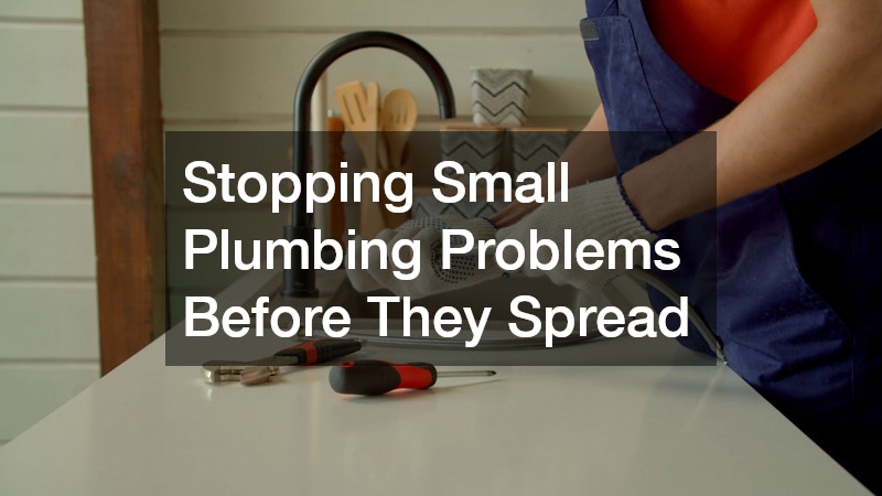 Stopping Small Plumbing Problems Before They Spread