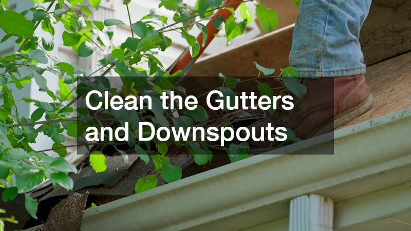 Clean the Gutters and Downspouts