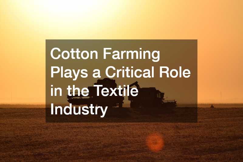 Cotton Farming Plays a Critical Role in the Textile Industry