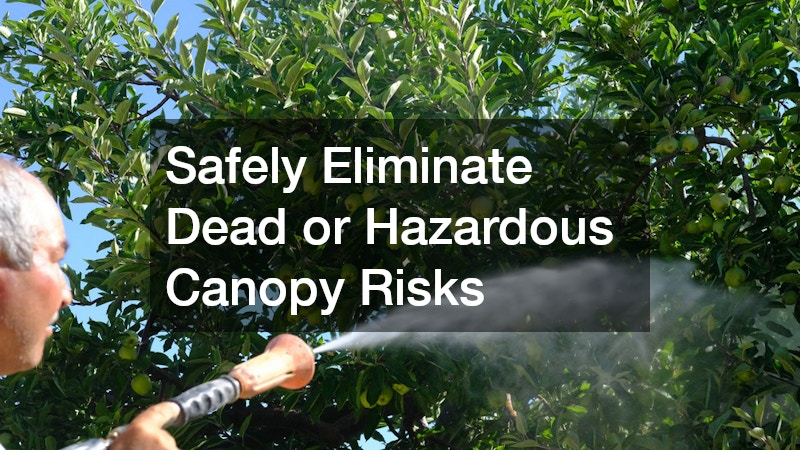 Safely Eliminate Dead or Hazardous Canopy Risks
