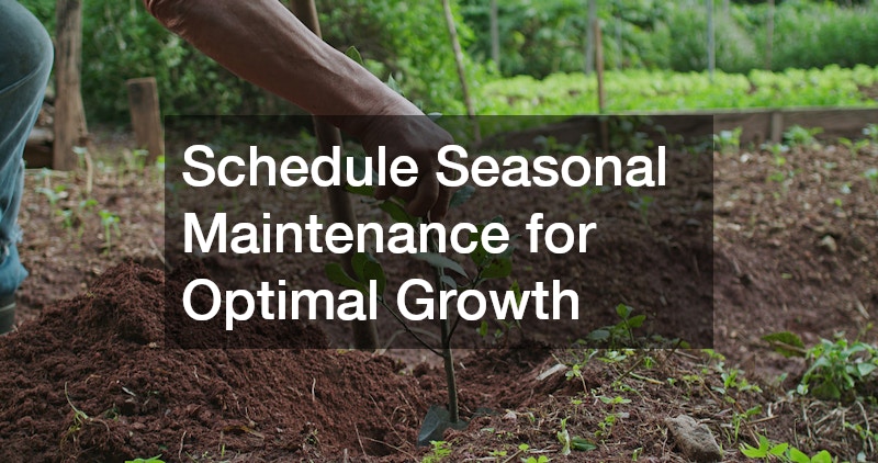 Schedule Seasonal Maintenance for Optimal Growth