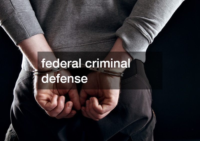 federal criminal defense