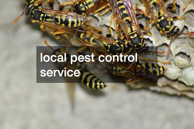 local pest control service