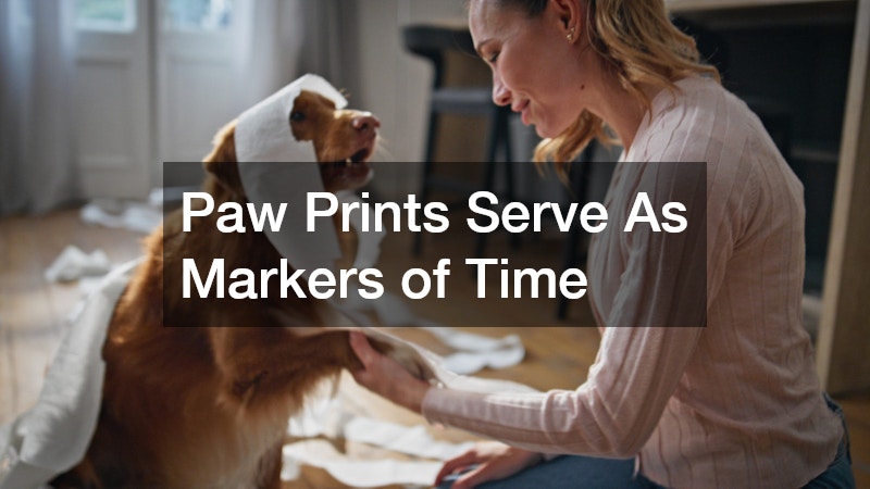 Paw Prints Serve As Markers of Time