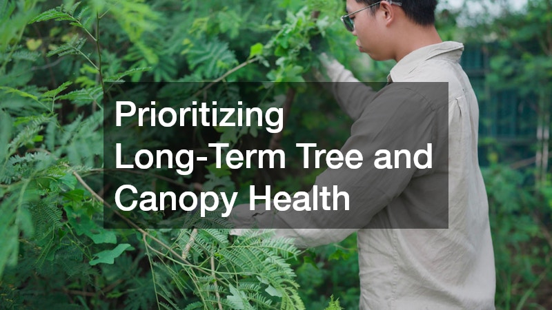 Prioritizing Long-Term Tree and Canopy Health