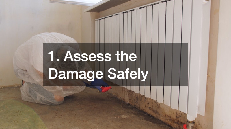 1. Assess the Damage Safely