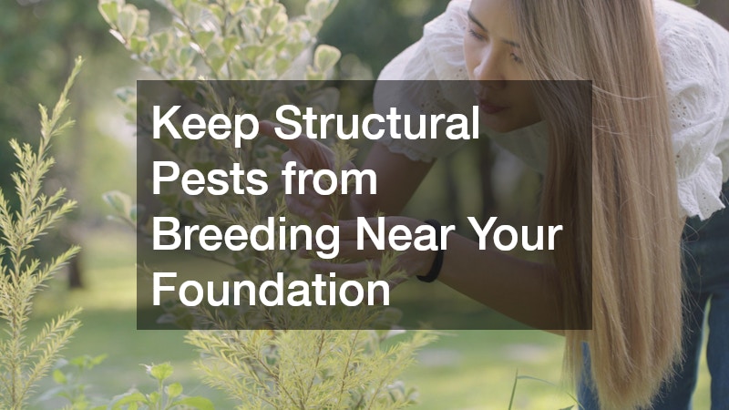 Keep Structural Pests from Breeding Near Your Foundation