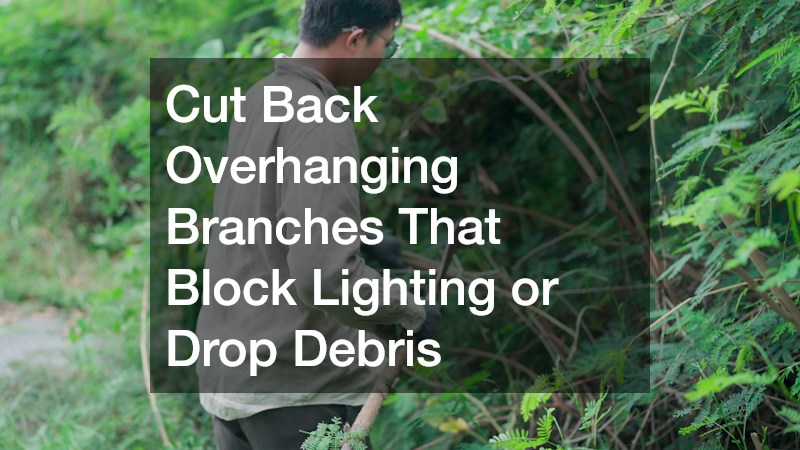 Cut Back Overhanging Branches That Block Lighting or Drop Debris