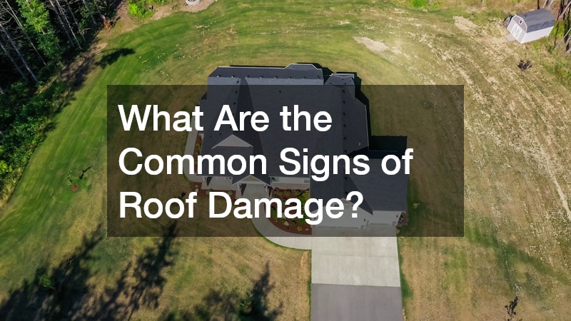 What Are the Common Signs of Roof Damage?