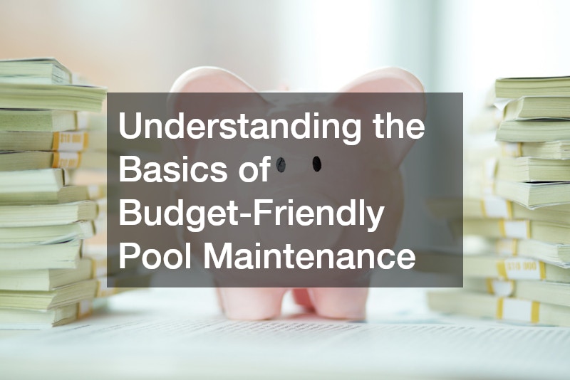 Understanding the Basics of Budget-Friendly Pool Maintenance