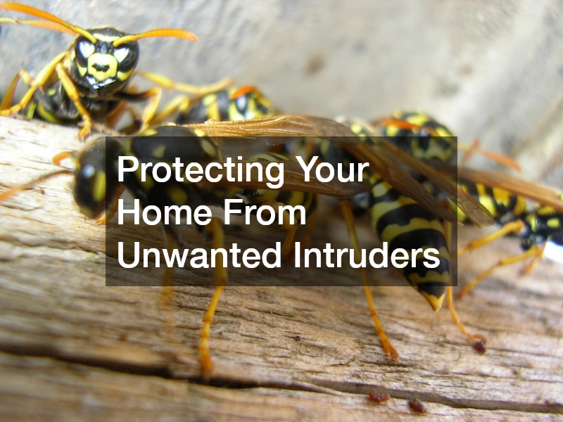 Protecting Your Home From Unwanted Intruders