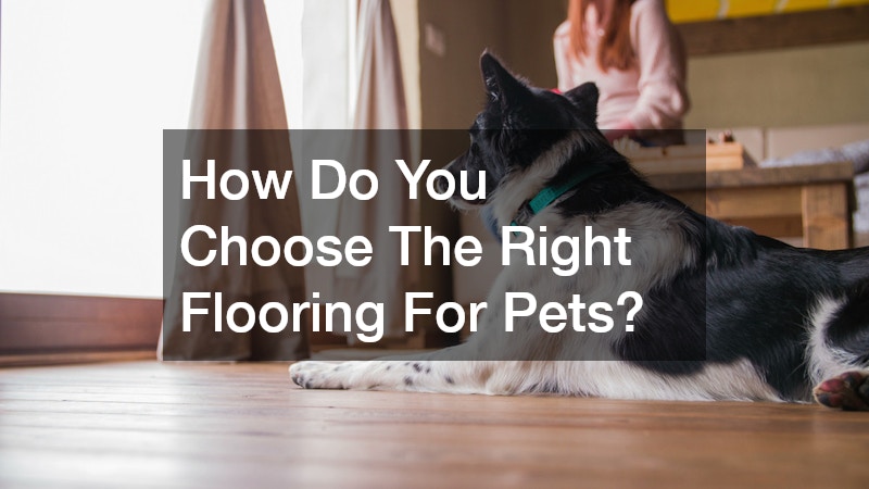 How Do You Choose The Right Flooring For Pets?