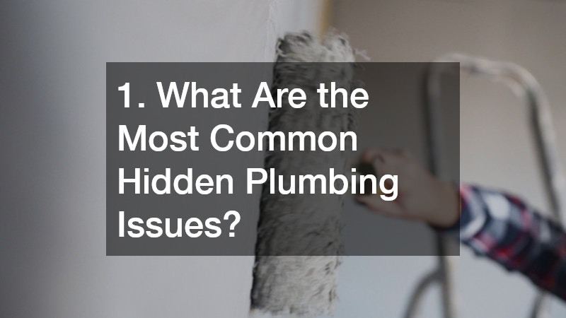 1. What Are the Most Common Hidden Plumbing Issues?