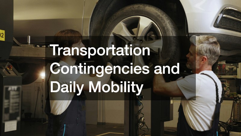 Transportation Contingencies and Daily Mobility