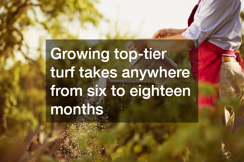 Growing top-tier turf takes anywhere from six to eighteen months