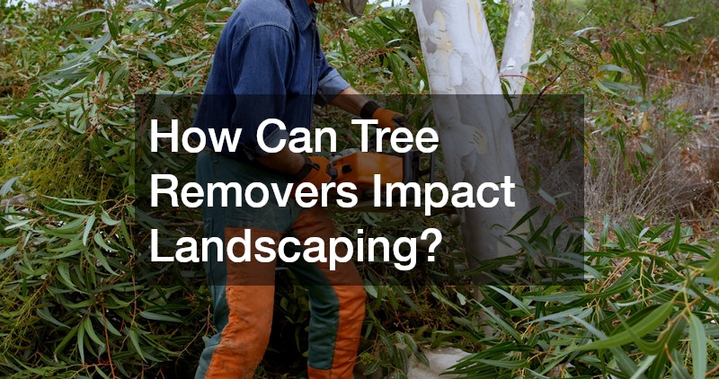 How Can Tree Removers Impact Landscaping?