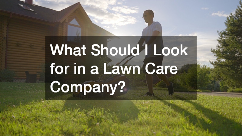 What Should I Look for in a Lawn Care Company?