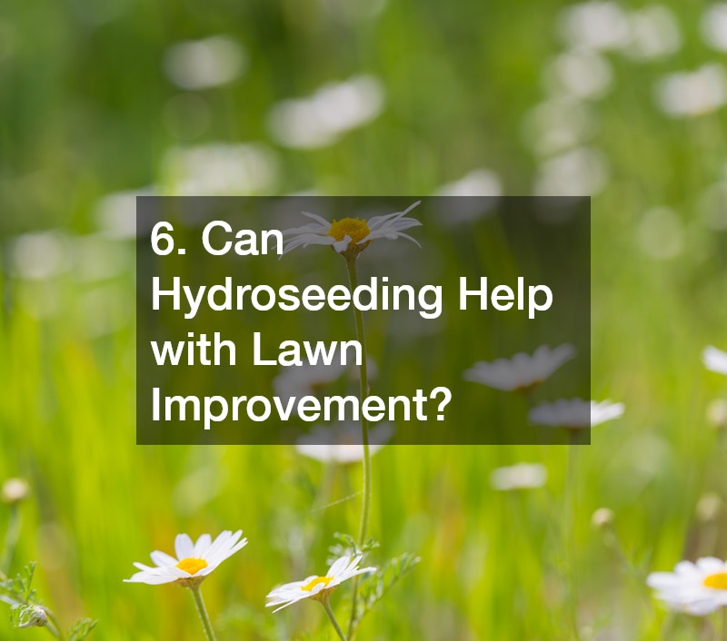 6. Can Hydroseeding Help with Lawn Improvement?