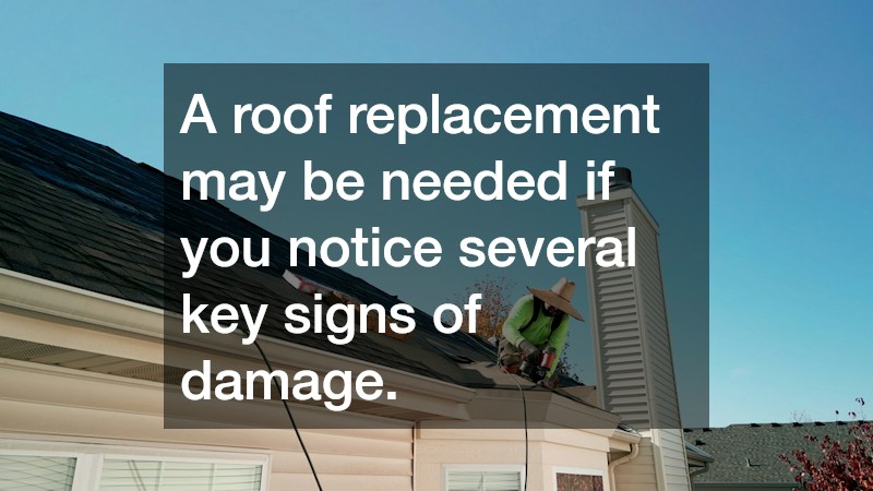 A roof replacement may be needed if you notice several key signs of damage.