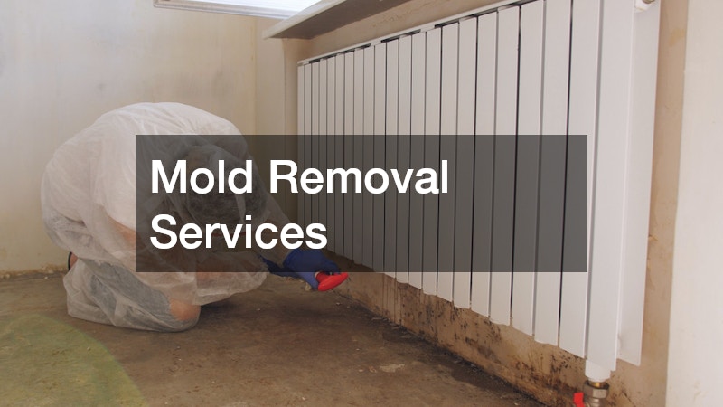 Mold Removal Services