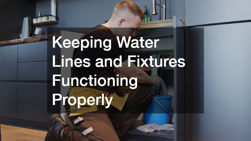 Keeping Water Lines and Fixtures Functioning Properly