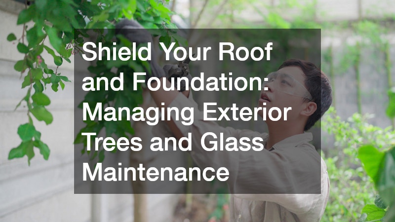 Shield Your Roof and Foundation: Managing Exterior Trees and Glass Maintenance