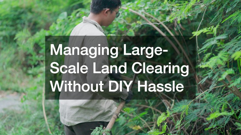Managing Large-Scale Land Clearing Without DIY Hassle